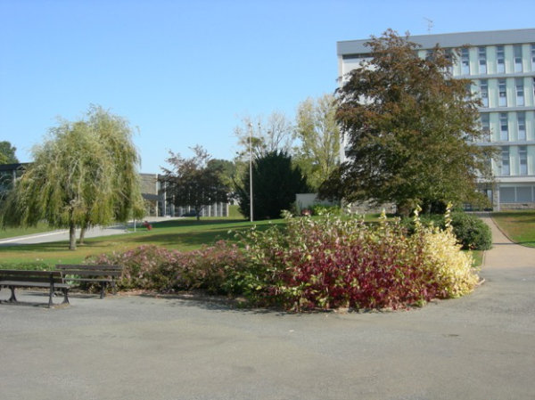 Le parc du lycée Joliot Curie Le parc du lycée Joliot Curie